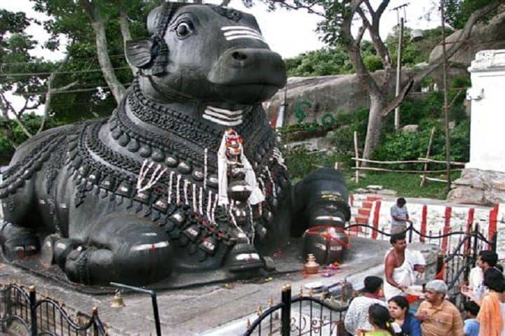 tmpooja-panja-nandhigal-devine-ethics-online-mega-pooja-store-720×480